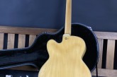 Ibanez PM-35 Pet Metheny-4.jpg